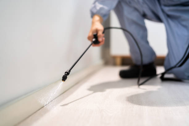 Licensed Pest Control service in San Juan Bautista, CA - Show Me Pest Control
