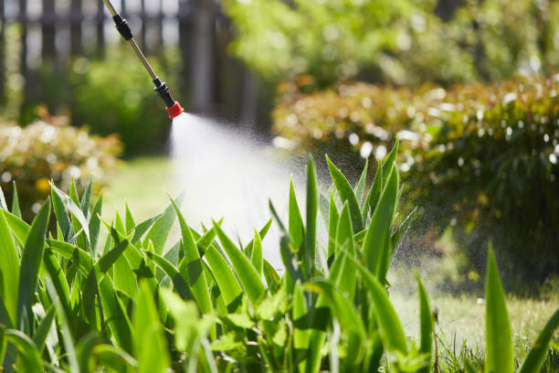 Tamper-Resistant Bait Stations for Rodents in San Juan Bautista