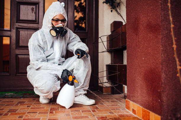 Attic and Crawl Space Rodent Treatment in San Juan Bautista